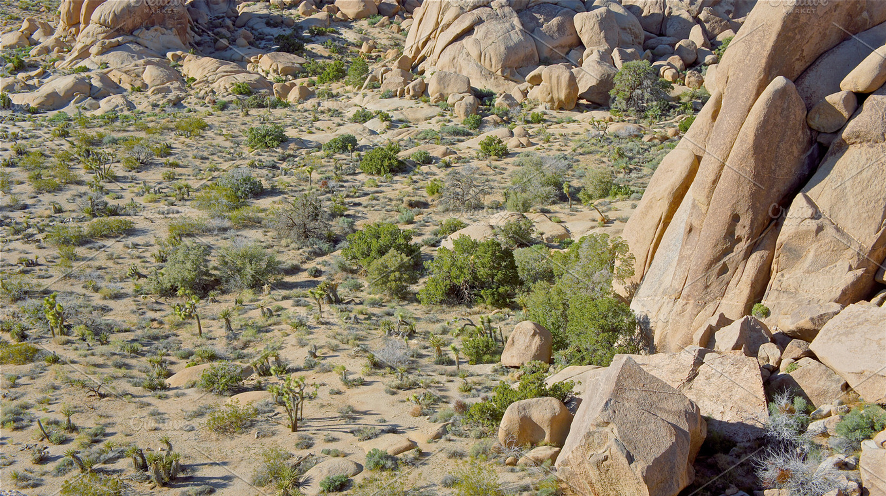 Lush Boulders
