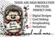 Whimsical Spring Hedgehog Png Clipar, an Illustration by Daily.Designs (Thumbnail 2 of 7)