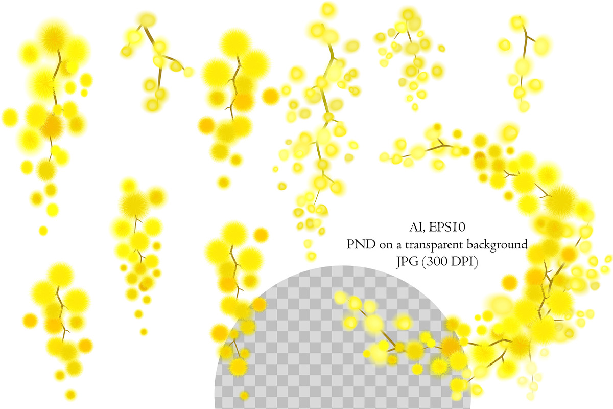 Rachel. Wisteria and Acacia, a Decorative Illustration by artabramova (Photo 3 of 9)