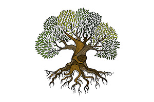 Old big family tree with roots