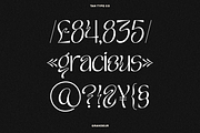 TAN - GRANDEUR, a Sans Serif Font by TanType (Thumbnail 18 of 25)