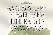 Del Rose, a Serif Font by Sign Studio (Thumbnail 10 of 15)