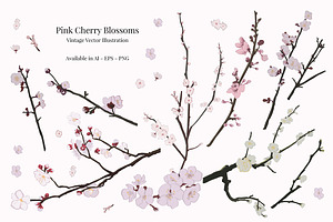Pink Cherry Blossom Elements