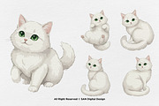 15 Bundle Watercolor White Cat Pet, an Animal Illustration by Morspective (Thumbnail 5 of 8)