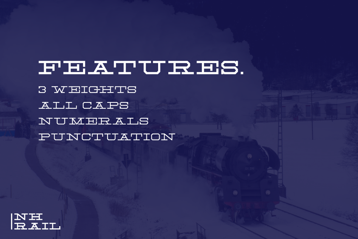 NH Rail - Extra Wide Slab preview 4