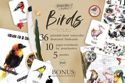 Birds activities for kids