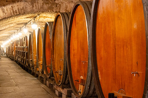 Wine cellar barrels inside historical Strasbourg hospital, a Food & Drink Photo by GoodGoods