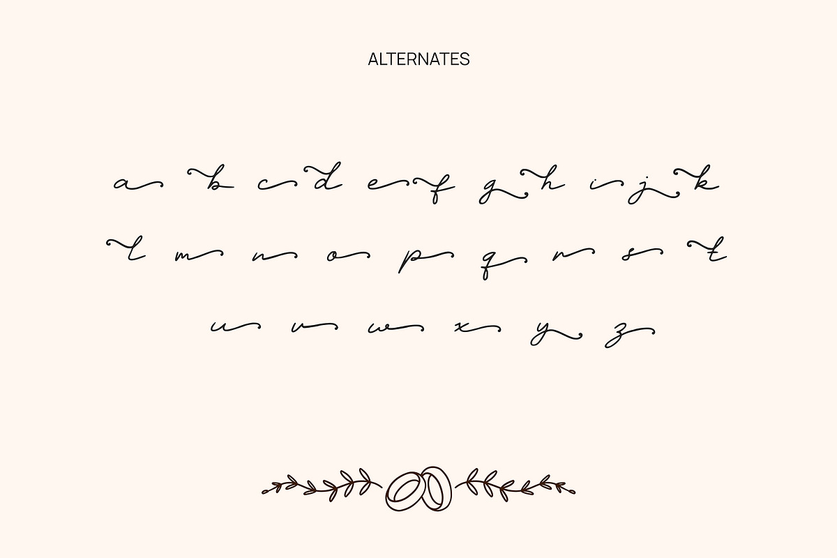 Elegance Wedding – Veilglos Font, a Handwritten Font by Stylin Studio (Photo 7 of 9)