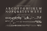 Ashley Northwick - A Modern Font Duo, a Serif Font by Ainun Jinan (Thumbnail 12 of 12)