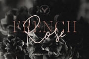 Marseille & Amsterdam Font Duo, a Serif Font by SilverStag Type Foundry (Thumbnail 5 of 19)