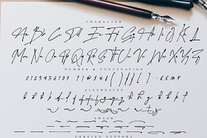 Hilston - Signature Font Script