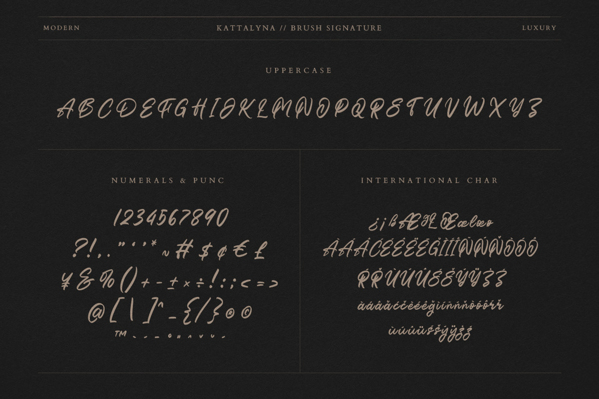 Kattalyna Brush Signature, a Script Font by Creatype Studio (Photo 8 of 9)