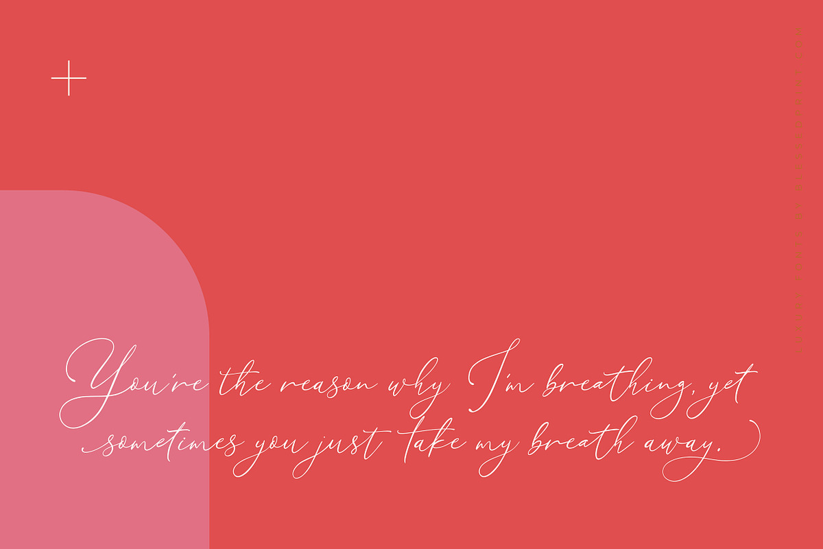 Little Love - for Templett & Corjl, a Script Font by Blessed Print (Photo 13 of 25)