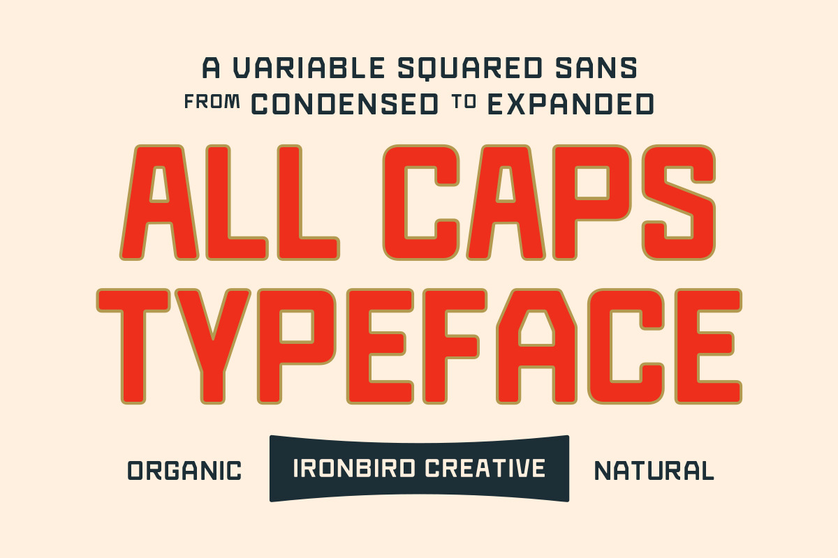 IC Beckons - Variable Squared Sans, a Sans Serif Font by IronbirdCreative (Photo 6 of 8)