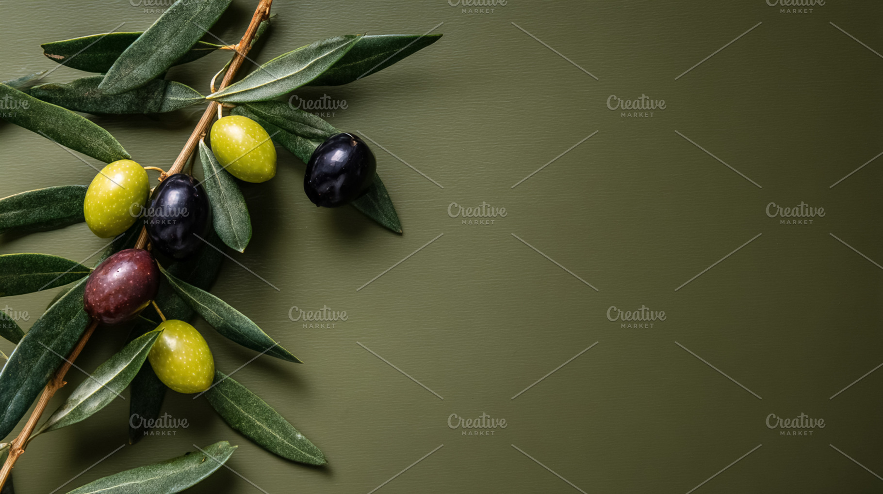 Olive branch showing ripe and unripe olives with green leaves on, a Photo by Studio ANNA