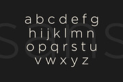 Stiepa | Modern Serif & Sans, a Serif Font by Dora Typefoundry (Thumbnail 23 of 28)