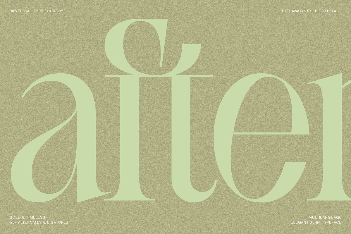 SLTF BOXROOM - Modern Serif Typeface, a Serif Font by SilverStag Type Foundry (Photo 17 of 30)