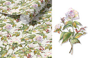 Romantic Watercolor Rose Clipart, a Decorative Illustration by Jeanna Draw (Thumbnail 14 of 17)