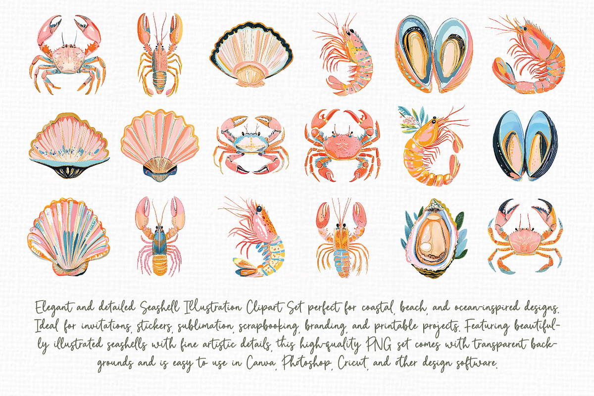 Seashell Illustration Clipart Set, an Illustration by Libby Wishes (Photo 8 of 8)