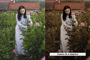 20 Memoirs Lightroom Presets & LUTs, a Preset Add-On by SparkleStock (Thumbnail 13 of 17)