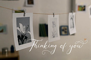 Galteniya | Beautiful Script, a Script Font by Denustudios (Thumbnail 2 of 15)