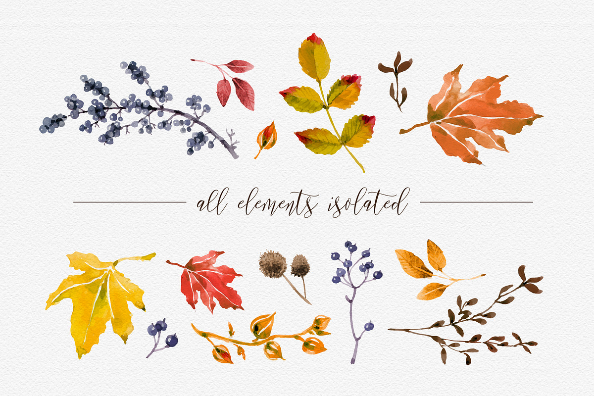 Autumn watercolor clipart, a Graphic by Cheeba Ribba Designs (Photo 5 of 5)