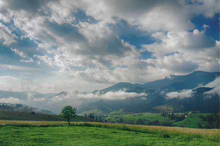 Summer mountain landscape, a Nature Photo by Nature and travel