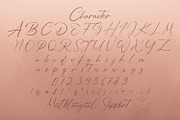 Bellamy Signature - Handwritten Font, a Script Font by StringLabs (Thumbnail 12 of 13)