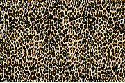Leopard, a Pattern Graphic by Article Reform (Thumbnail 3 of 3)