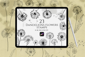 Dandelions Procreate Stamps