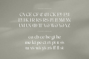 Wendy Bowsher Stylish Serif, a Serif Font by Cruzine (Thumbnail 7 of 8)
