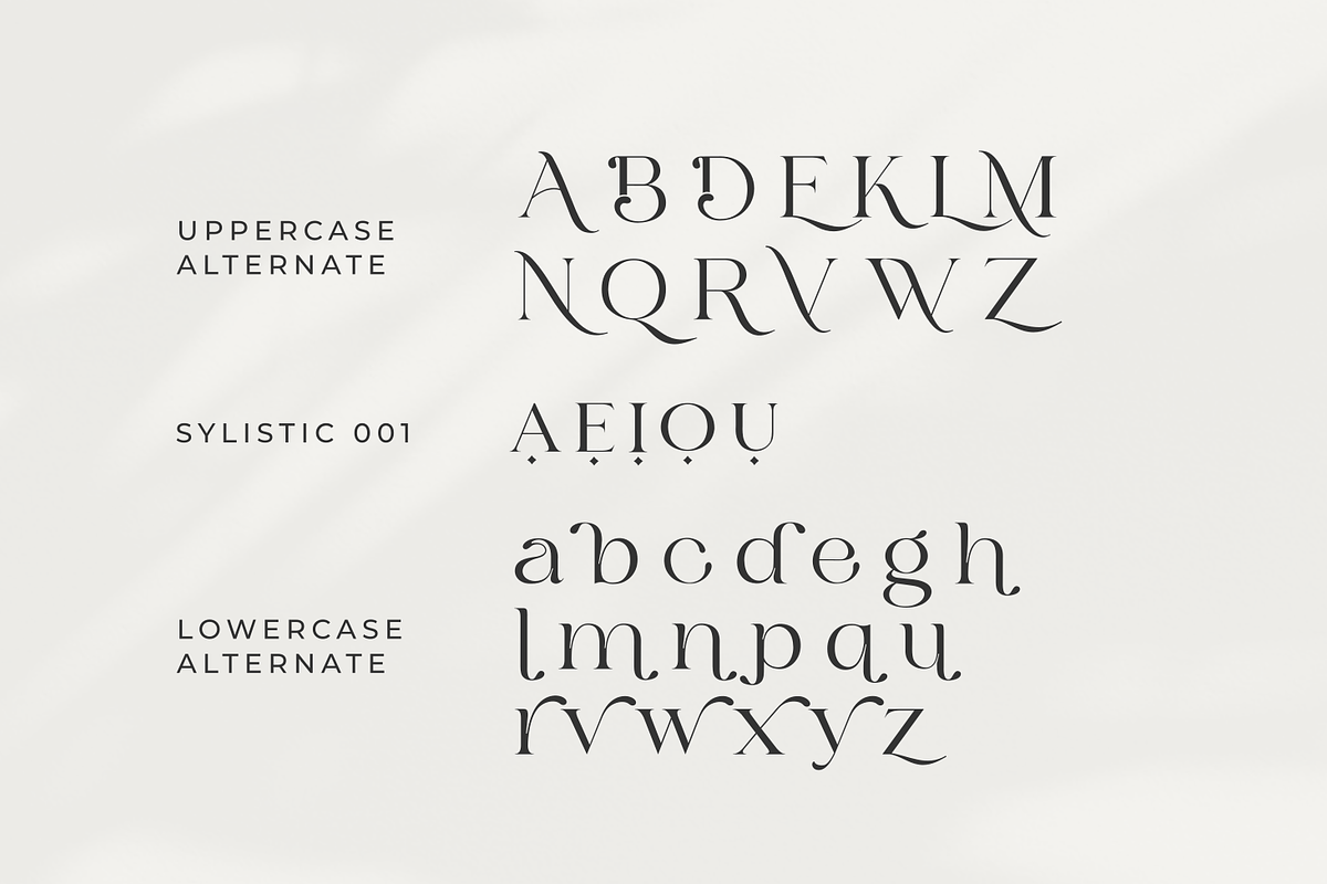 Bilgie - Chique Serif Font, a Serif Font by zeenesia (Photo 19 of 19)