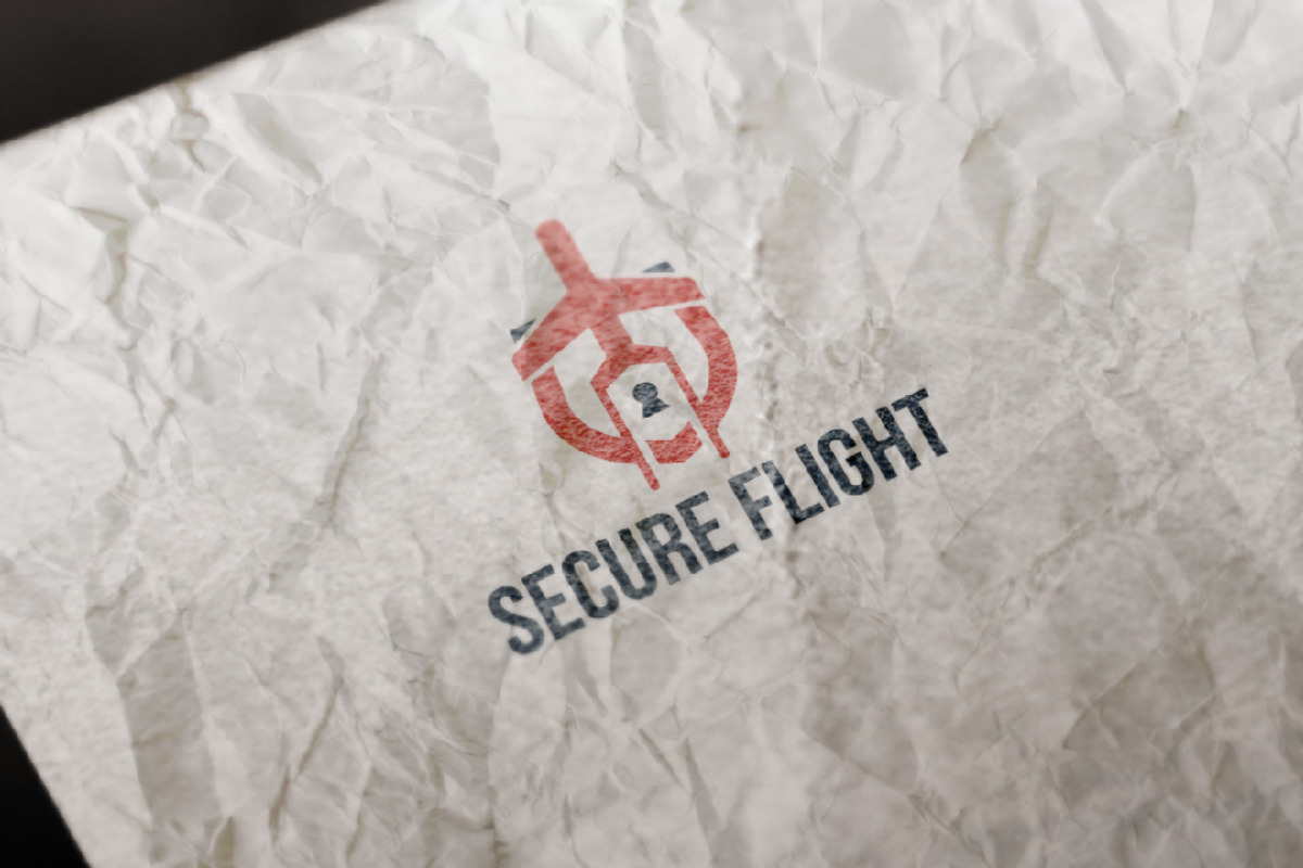 Travel Flight Safety Security Logo, a Branding & Logo Template by ...