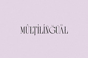 Melted Etoile - Chic Ligature Serif, a Serif Font by Mikhail Fukurou (Thumbnail 8 of 8)