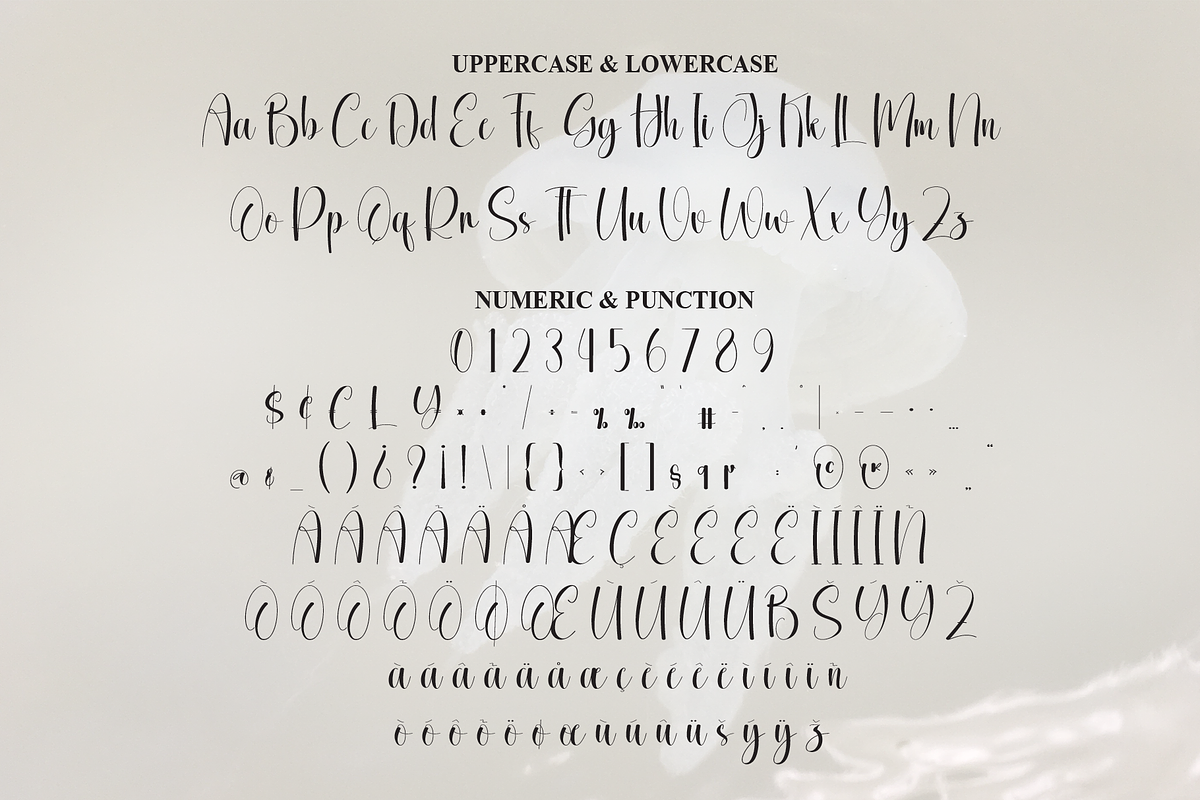 Jellyfish | Script Font, a Handwritten Font by Scratchones (Photo 7 of 8)