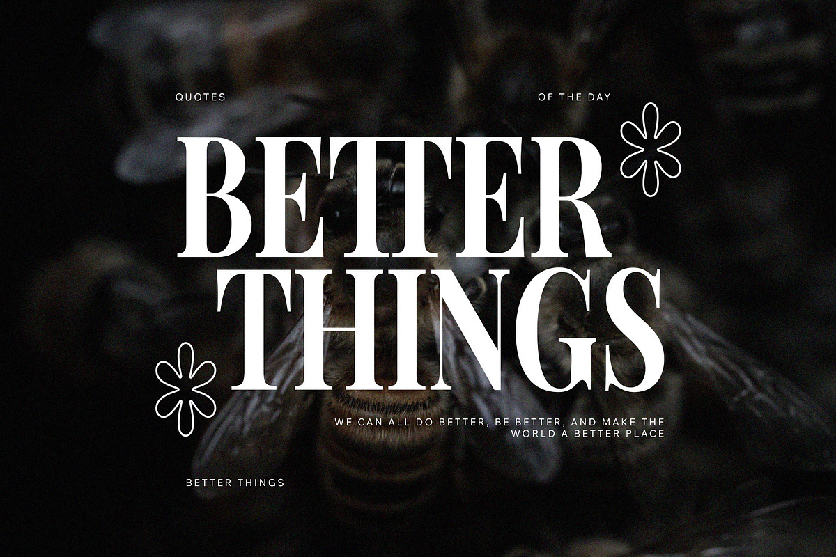 Rosean Elegant Serif Font Typeface, a Serif Font by Graphicxell (Photo 2 of 10)