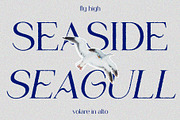 Glastone Rough, a Serif Font by Craft Supply Co. (Thumbnail 5 of 8)