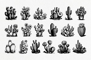 Cactus Hand-Drawn Vintage Set