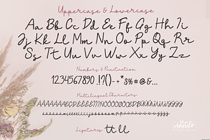 Asthelia Casual Signature Script