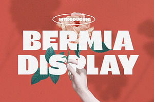 Bermia Display Font