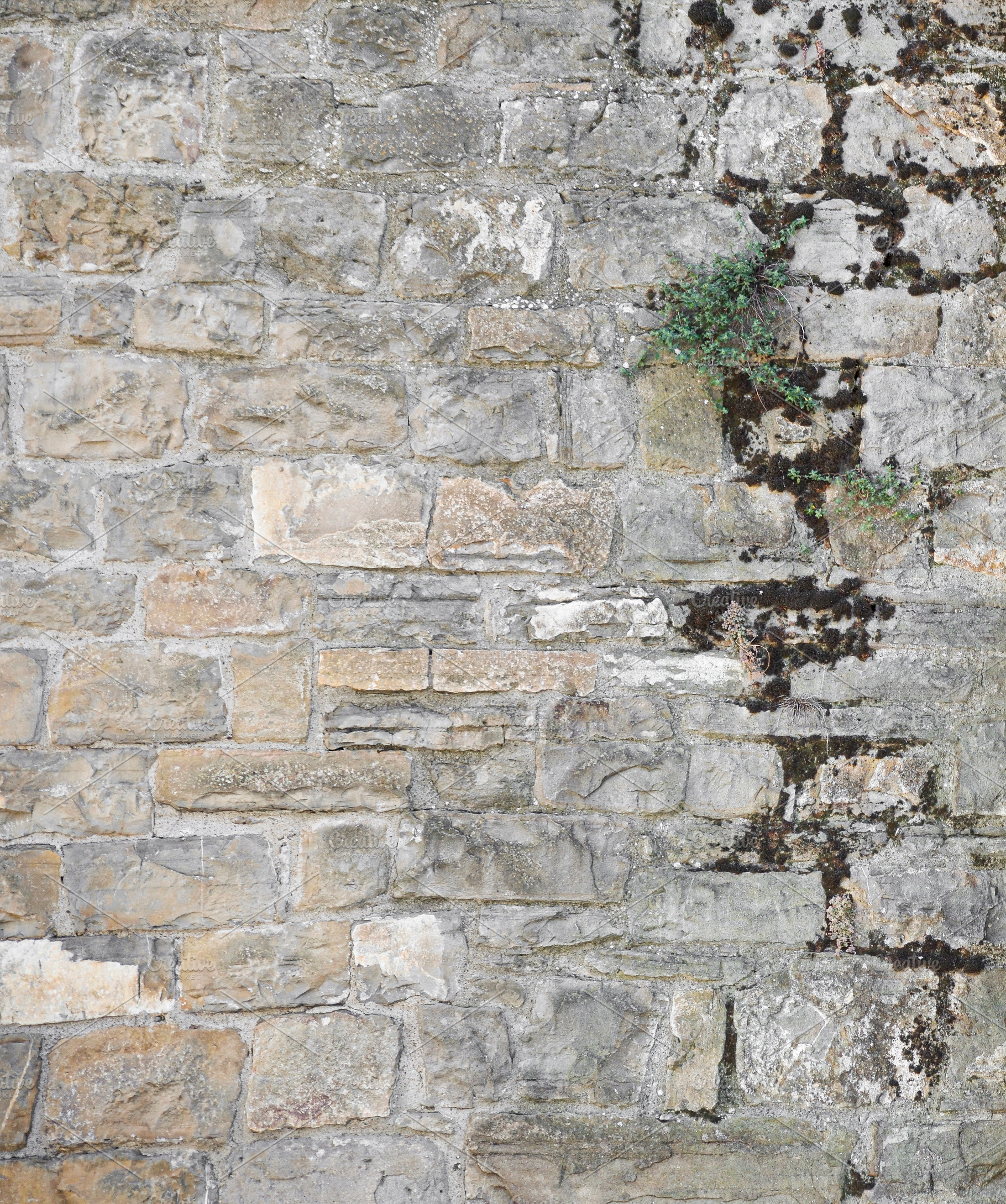 Stone wall of old construction with parts dirty, a Nature Photo by Davizro's Market
