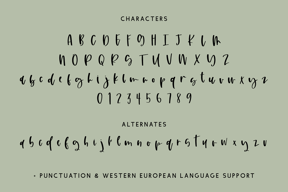 Sweet Toast, a Script Font by Beck McCormick (Photo 10 of 10)
