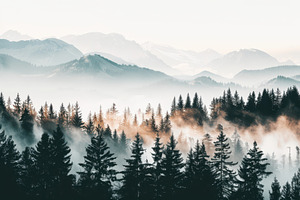 Foggy mountain landscape with pine trees in the foreground, creating a mystical, a Nature Photo by Mashimara