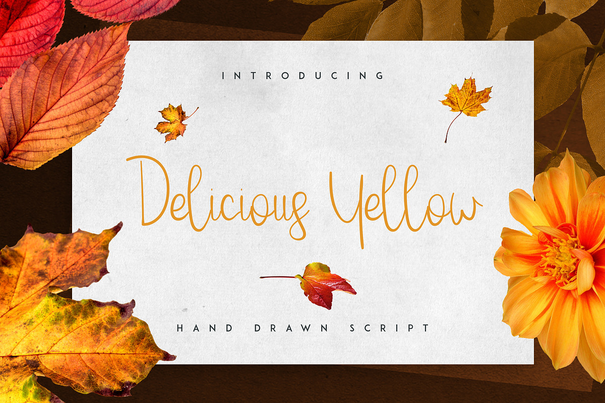 Massive Font Bundle - 197 fonts, a Script Font by VP Fonts (Photo 9 of 55)