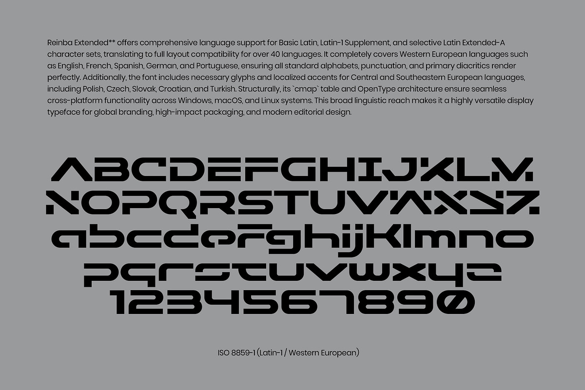 REINBA Extended Sans Serif Font, a Sans Serif Font by sentype (Photo 6 of 7)