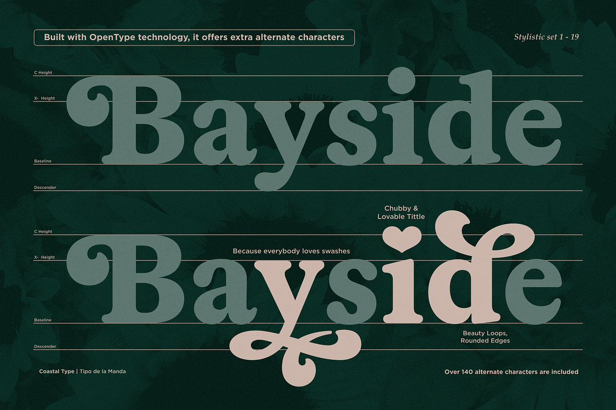 Tipo De La Manda | Retro Font, a Serif Font by Coastal Type (Photo 5 of 9)