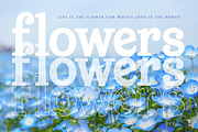 Meridi Rolitud Modern Serif Font, a Serif Font by timelesstype.co (Thumbnail 9 of 20)