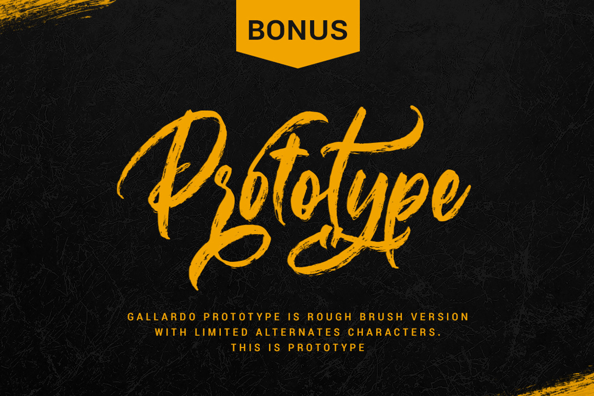 Gallardo Script, a Script Font by Motokiwo (Photo 14 of 15)