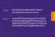 Esenka, a Sans Serif Font by Differentialtype (Thumbnail 7 of 12)