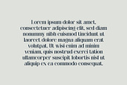 Avaliona - Elegant Serif Font, a Serif Font by Pikgura (Thumbnail 6 of 6)
